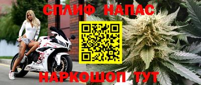прущие крисы Урус-Мартан
