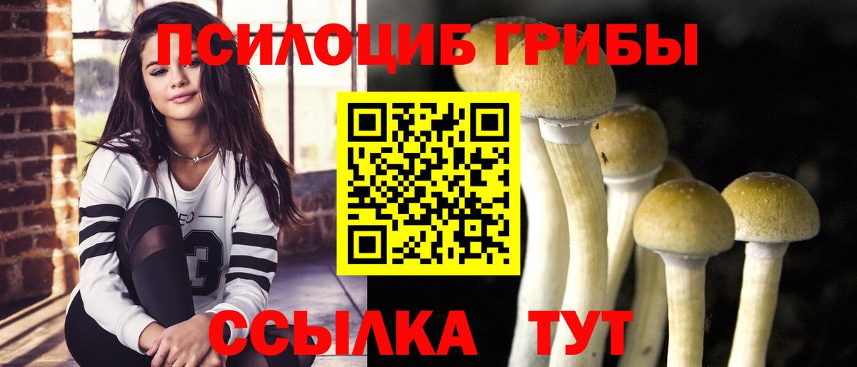 Псилоцибиновые грибы мухоморы  Псилоцибиновые грибы мухоморы  Белгород  Вход с VPN 