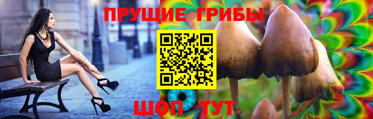 Галлюциногенные грибы ЛСД Белгород